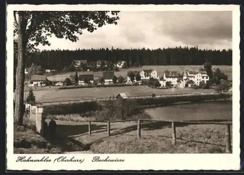 AK Hahnenklee /Oberharz, Bockswiese