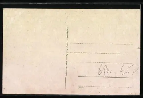 AK Heidelberg, Die Bergbahn