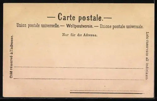 AK Chemin de fer des Rochers de Naye, Bergbahn