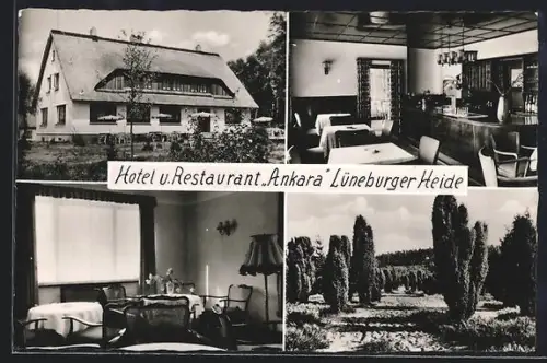 AK Bispingen, Hotel und Restaurant Ankara mit Innenansichten, Inh. Fritz Carls