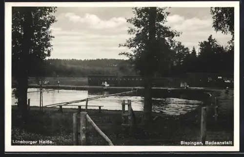 AK Bispingen /Lüneburger Heide, Badeanstalt, Panorama