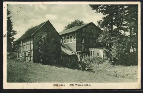 AK Bispingen, Alte Wassermühle