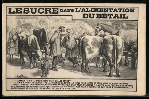 AK Lesucre dans L`Alimentation du Bétail, Reklame