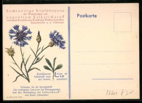 AK Kopfdüngung der Wintersaaten mit ungeöltem Kalkstickstoff vernichtet Kornblumen, Windhalm u. a. Unkräuter, Reklame