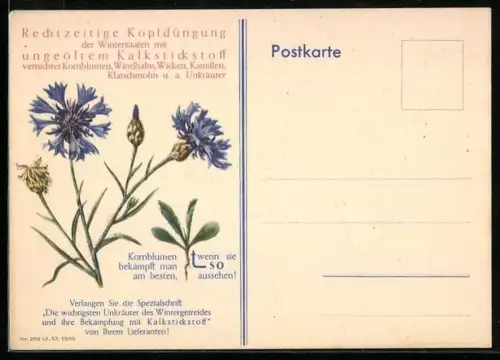 AK Kopfdüngung der Wintersaaten mit ungeöltem Kalkstickstoff vernichtet Kornblumen, Windhalm u. a. Unkräuter, Reklame