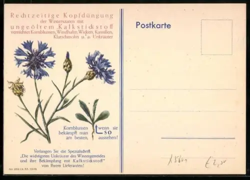 AK Kopfdüngung der Wintersaaten mit ungeöltem Kalkstickstoff vernichtet Kornblumen, Windhalm u. a. Unkräuter, Reklame