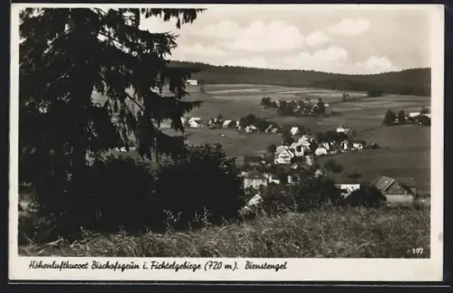 AK Bischofsgrün i. Fichtelgebirge, Blick auf Bienstengel