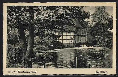 AK Munster /Lüneburger Heide, Alte Mühle