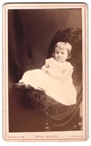 Fotografie Pflaum & Co., Berlin, Königstr. 31, Porträt eines kleinen Kindes
