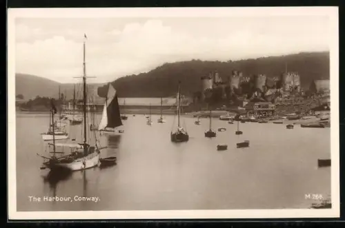 AK Conway, The Harbour