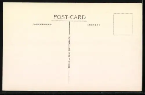 AK Conway, The Harbour