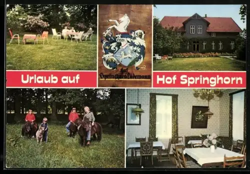 AK Frielingen ü. Soltau, Hof Springhorn F. Lüdemann, Garten, Reitponys, Gastraum
