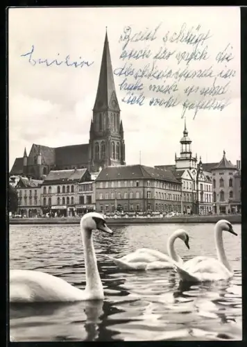 AK Schwerin, Dom, Rathaus, Schwäne auf dem Pfaffenteich