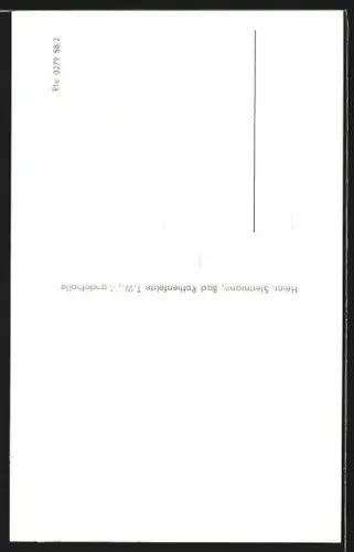 AK Bad Rothenfelde /T. W., Haus Koch