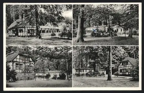 AK Chausseehaus über Wiesbaden, DRK-Kinderkurheim Taunusfreude, Mehrfachansicht