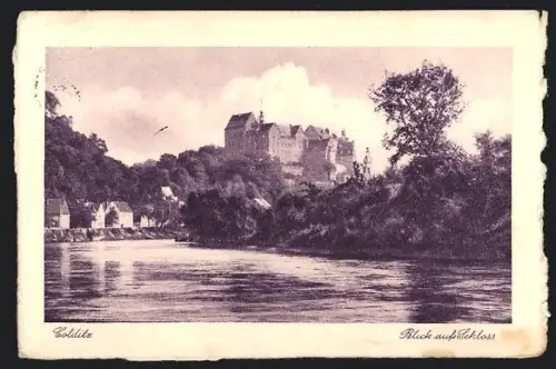 AK Colditz, Blick auf das Schloss