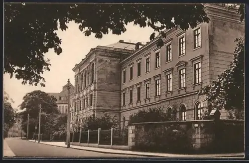 AK Freiberg, Gymnasium Albertinum mit Strasse