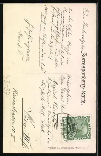 AK Wien, Ansicht vom Riesenrad, Wiener Prater