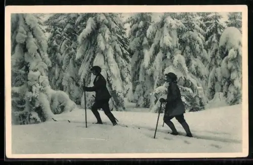 AK Skifahrer im schneebedeckten Wald