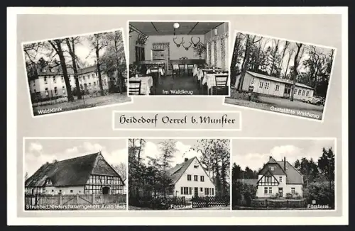 AK Oerrel, Waldklinik, Gaststätte Waldkrug, Strohbed. Nieders. Bauerngehöft Anno 1848, Forstamt