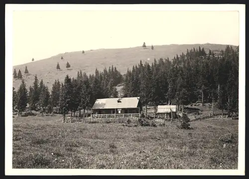 Fotografie Ansicht Thal / N.Ö., Blick nach dem Unterberghaus