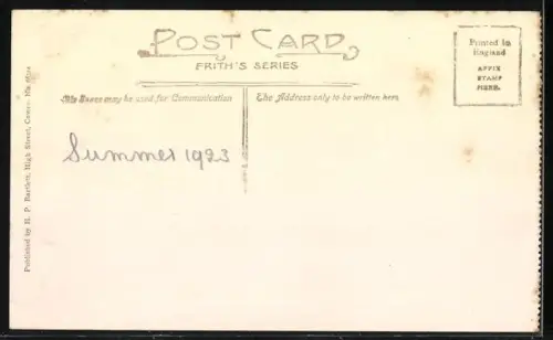 AK Cowes, The Green, Umbrella Tree