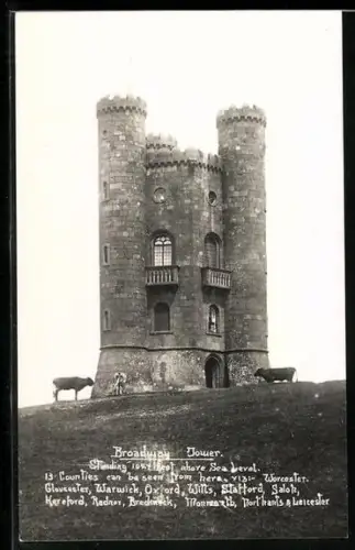 AK Broadway, Tower with cows