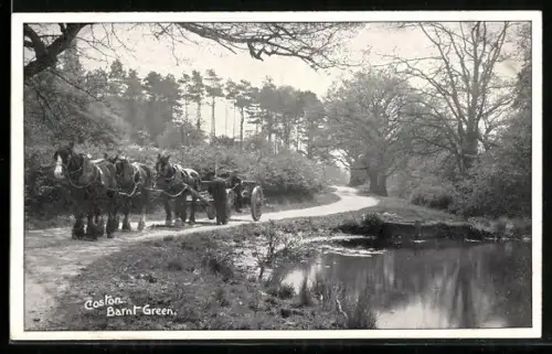 AK Barnt Green, Coston