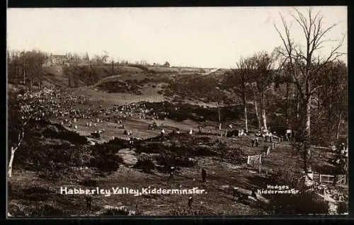 AK Kidderminster, Habberley Valley