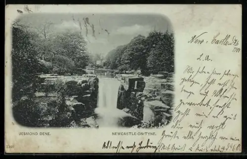 AK Newcastle-on-Tyne, Jesmond Dene