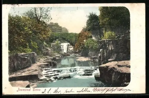 AK Newcastle-on-Tyne, Jesmond Dene