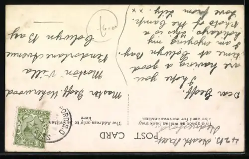 AK Rugeley Camp, Panorama