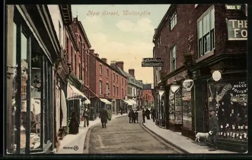 AK Wellington, New Street with shops