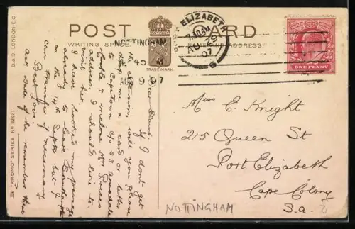 AK Nottingham, Chinese Bell Arboretum