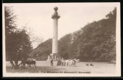 AK Ashridge, The Bridgewater Monument