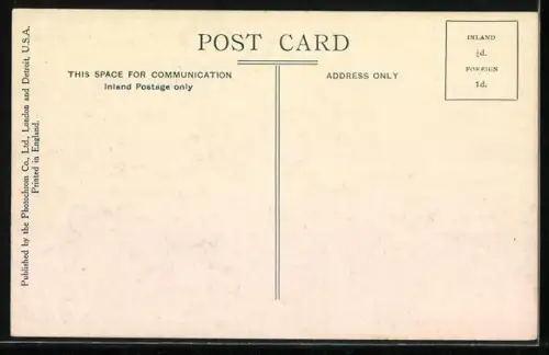 AK Corfe, The Castle, Panorama