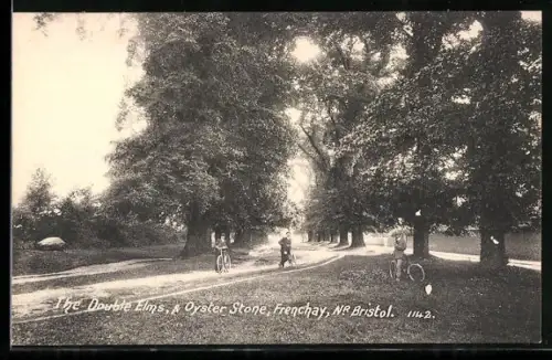 AK Frenchay /Bristol, The Double Elms and Oyster Stone
