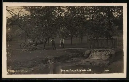 AK Whitehill, The Waterhill
