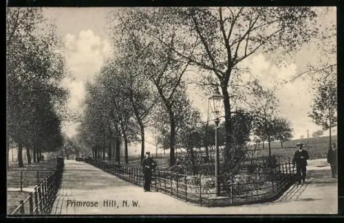 AK Primrose Hill, Panorama