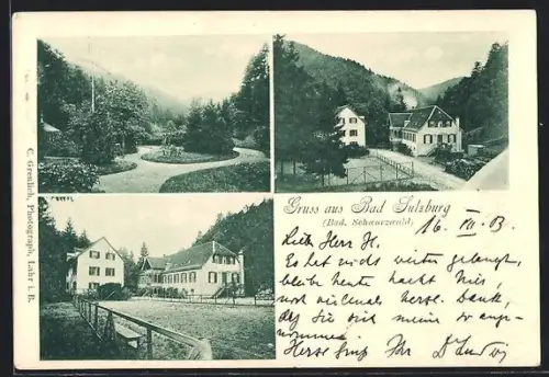 AK Sulzburg, Teilansichten mit Park