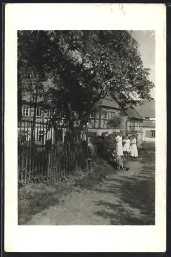 Foto-AK Augustusburg, Strassenpartie mit Wohnhäusern und Grünanlagen