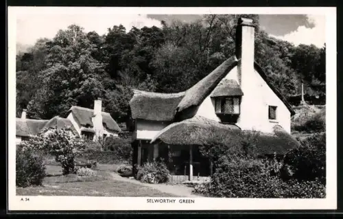 AK Selworthy, View of Selworthy Green