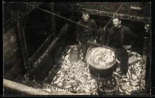 AK Lowestoft, Larding Herring