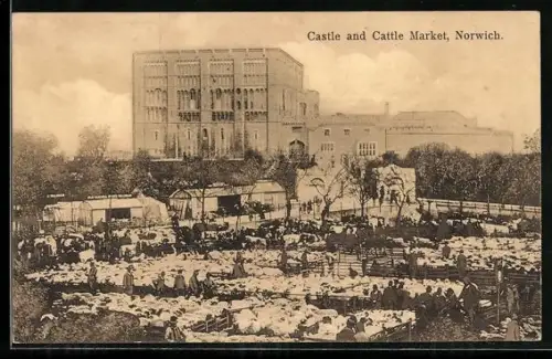 AK Norwich, Castle and Cattle Market