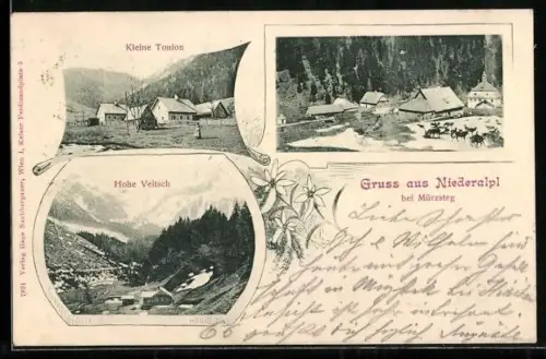 AK Niederalpl bei Mürzsteg, Kleine Tonion, Hohe Veitsch, Ortsansicht