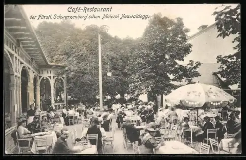 AK Wien, Café-Restaurant der Fürstl. Schwarzenberg'schen Meierei Neuwaldegg