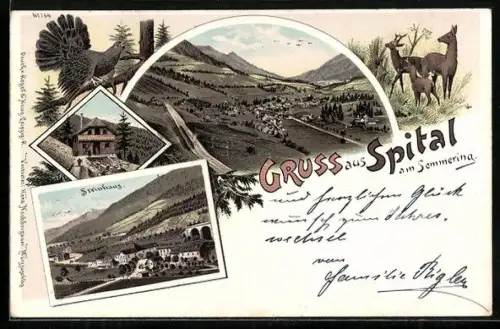 Lithographie Spital am Semmering, Ansicht aus der Vogelschau, Steinhaus