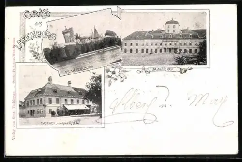 AK Laxenburg, Franzenburg, Blauer Hof und Gasthof zum gold Kreuz