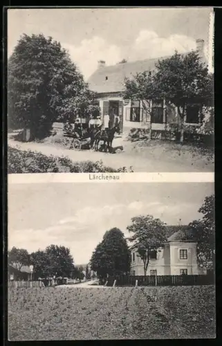 AK Harmannsdorf /N.-Oe., Lärchenau, Gasthaus und Ortspartie