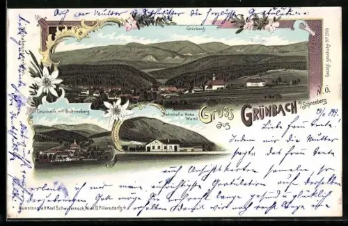 Lithographie Grünbach a. Schneeberg, Bahnhof mit hohe Wand, Ortsansicht mit Schneeberg
